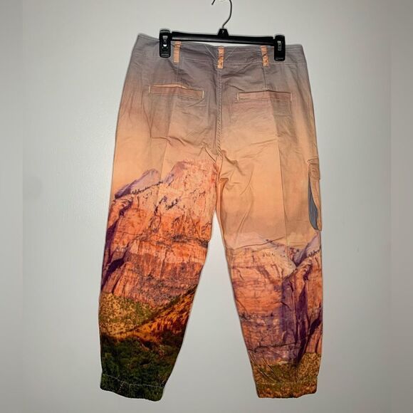 NWT Pilcro The Wanderer chino joggers - Picture 6 of 7